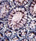 PIGR Antibody (C-term)
